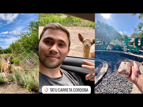 Reserva TATU CARRETA -Cordoba,Casa Grande 🐆🦌🦜 ( los alimentamos y se nos meten dentro del auto)