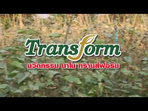 วิธีการจัดสรรหน้าอกเล็ก ฟื้นฟูหลังจากการทำศัลยกรรมพลาสติกบนหน้าอก