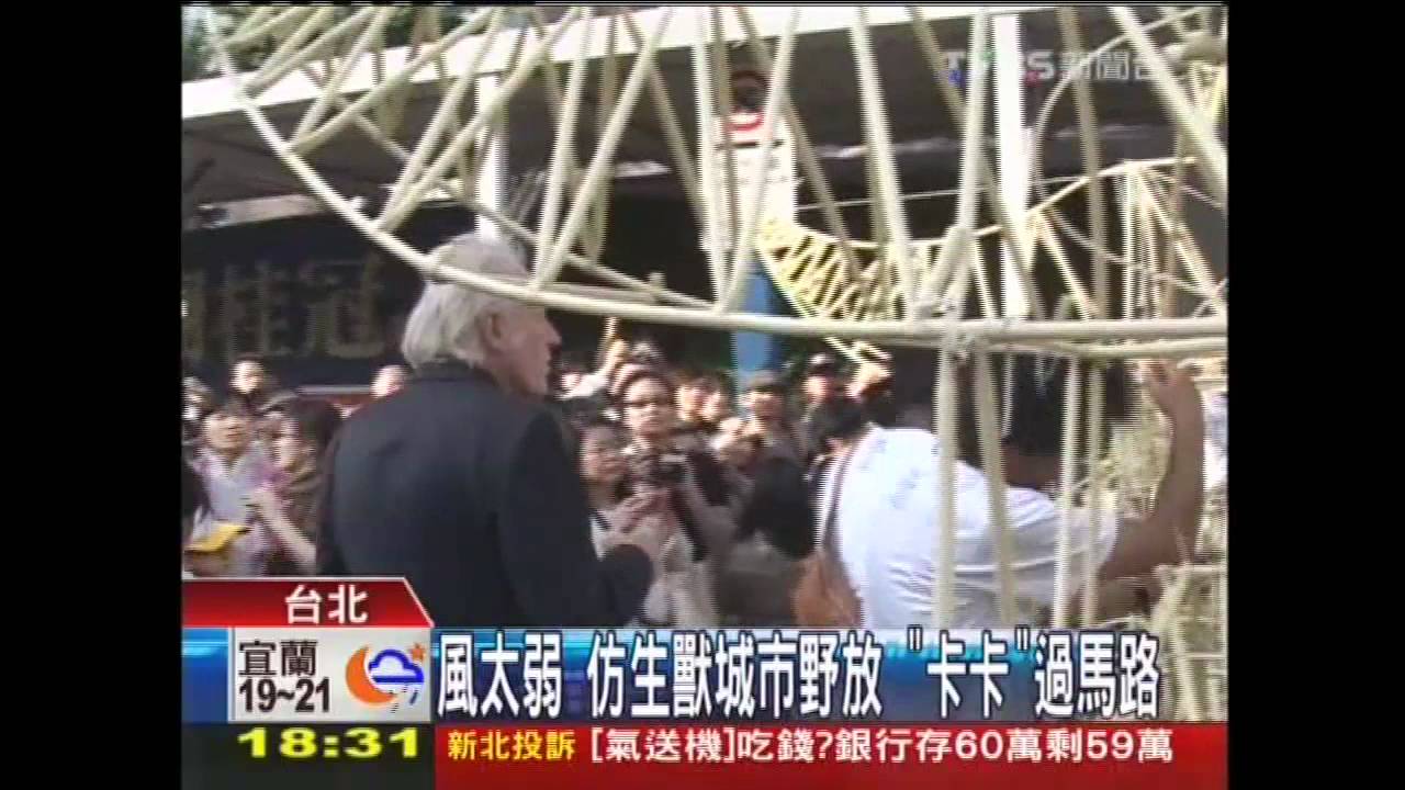 風太弱!仿生獸城市野放 「卡卡」過馬路