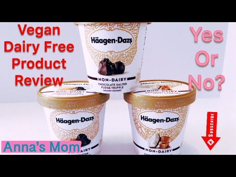 Vegan Non Dairy Haagen Dazs Ice Cream Review Dairy Free/Anna's Mom