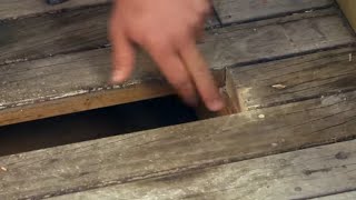 How to Fix and Repair Damaged Deck Boards | Mitre 10 Easy As DIY
