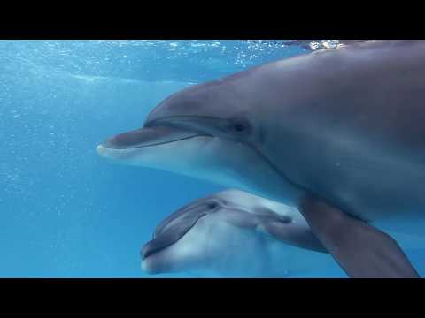 Машина времени 12 09