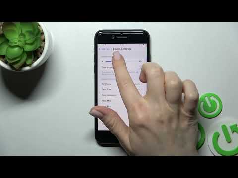 How to Find/Manage Sound Settings on iPhone SE (2022) - Set Up Sounds & Hapics