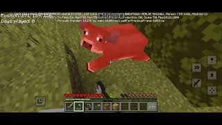 I Survived 100 Days  In Minecraft: Bedrock pocket edition mobile Hardcore(Hindi)! Part 1 the end