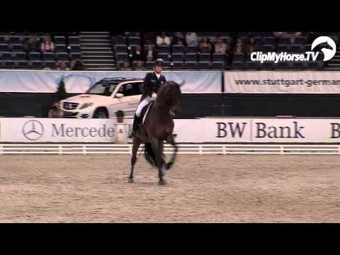 Samstag, 16.11.2013 - Preis der Firma Stihl mit Isabell Werth und Don Johnson FRH