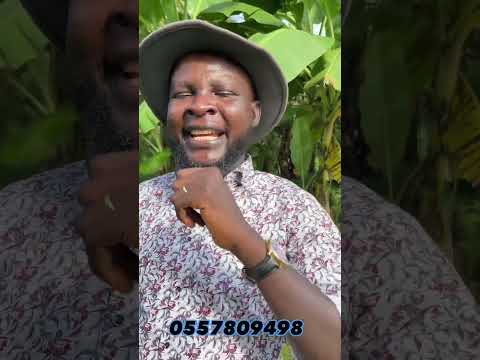 PROSTATE ENLARGEMENT SYMPTOMS (Twi Language)