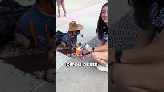 Esse CACHORRO é um verdadeiro EMPREENDEDOR... (@sparlingspaz)