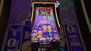 Golden showing up #casinogame #slotmachine #casinowin