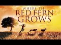 Where The Red Fern Grows 1974 Full Movie James Whitmore Beverly Garland Jack Ging
