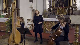 You&#39;ve got the love – Florence + the machine (Cover) – Harfe, Cello, Gesang