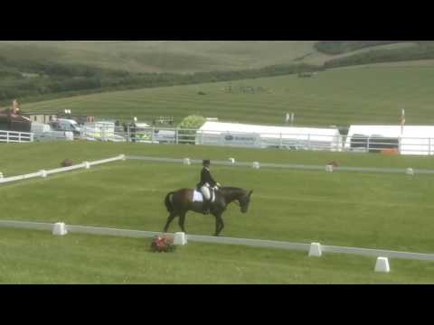 Sandro dressage Barbury