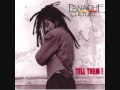 Panache Culture I don't like reggae 