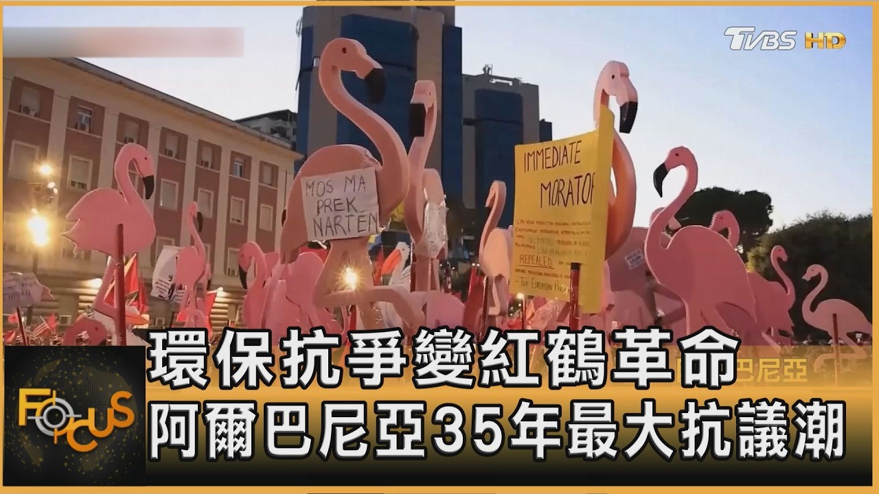 環保抗爭變紅鶴革命！阿爾巴尼亞35年最大抗議潮
