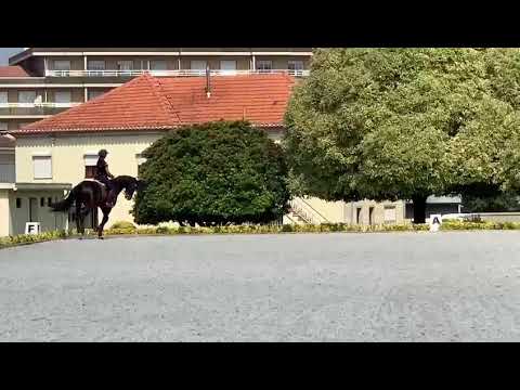 Treinos - Nicole e Funji