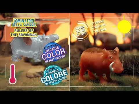 Discover the Rulers of the Savannah🦁. #sbabam in English. @SbabamItalia