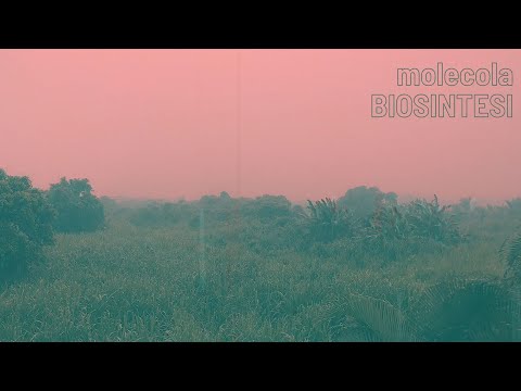 video frame placeholder