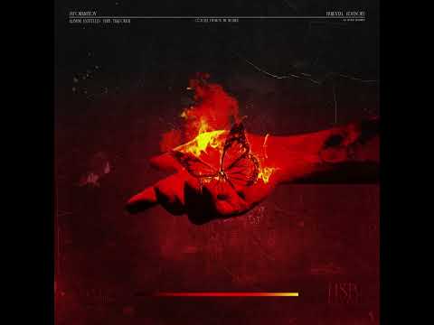 AlexHSB & Cozm1n - Party Privat (HSB TakeOver)