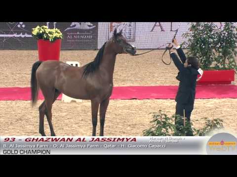 Paris 2014 - Highlights WAHC