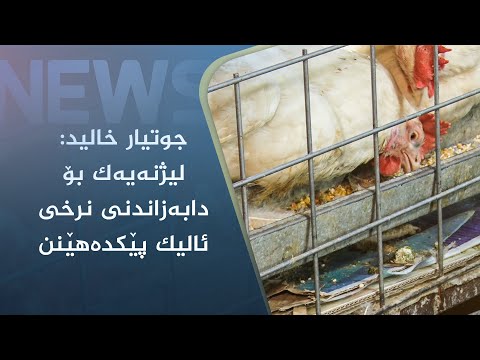 بەڤیدیۆ.. جوتیار خالید: لیژنەیەک بۆ دابەزاندنی نرخی ئالیک پێکدەھێنن