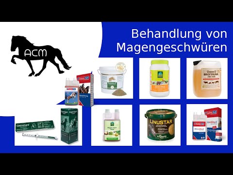 Behandlung von Magengeschwüren [Gastritis beim Pferd]