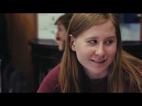 All of the Above (2026)