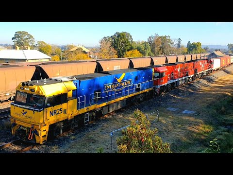Indian Pacific & Ghan Pulling a Freight Train