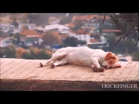 Red Hot Chili Peppers - We Turn Red