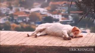 Red Hot Chili Peppers - We Turn Red