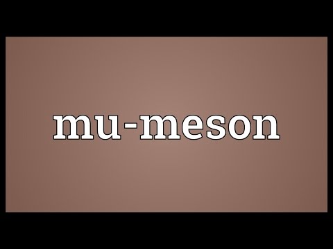 Mu-meson Meaning