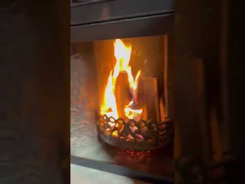 Видео о дверце камина 5