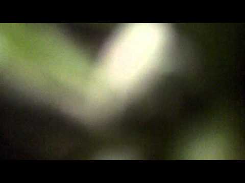 K4A  @ Kartbaan Eefde