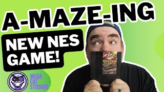 JESTER is a Brand New PHYSICAL NES Game from  Mega Cat Studios!