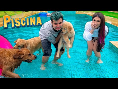 O CACHORRINHO TEM MEDO DE PISCINA ! - Vida de Maloucos #17