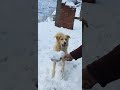 Snowii Masti Time With Burnoo