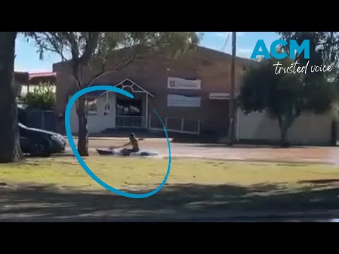Man spotted casually canoeing through flood-hit Gunnedah