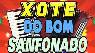 Xote do bom sanfonado, forró, dance, xotão, vanerão, musica, song, nerão