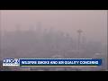 Wildfire smoke and air quality concerns