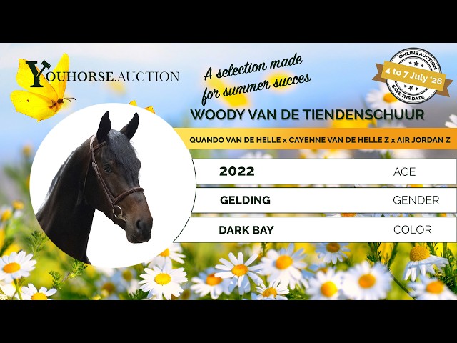 Woody van de Tiendenschuur
