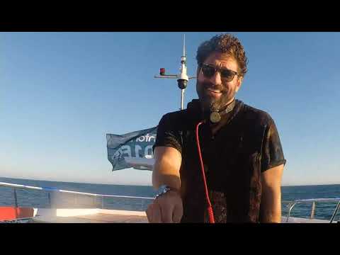 Albufeira Summer Live - BEST OF 20 AGOSTO