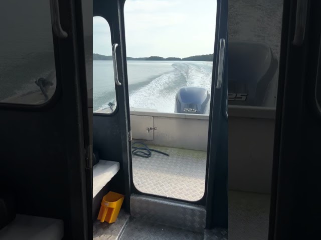 1308689 Arronet 23.5 -09 Yamaha 225hp outboard -14