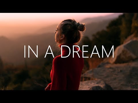 Man Cub feat. SVRCINA - In A Dream (Lyrics)