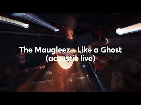 The Maugleez - Like a ghost (Mr. Pickles OST cover live)