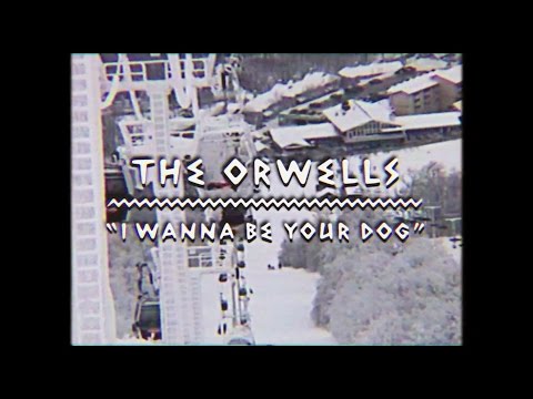 The Orwells - I Wanna Be Your Dog | On The Mountain