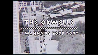 The Orwells - I Wanna Be Your Dog | On The Mountain