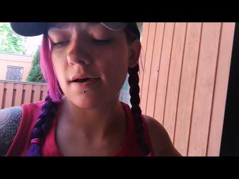 Maalari maalasi taloa.. Ja vähän kaikkea muutakin.