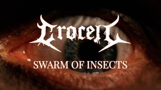 Swarm Of Insects - Crocell