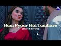 Hum Pyaar Hain Tumhare Alka Yagnik Udit Narayan Haan Maine Bhi Pyaar Kiya Hai Lofi