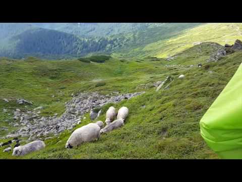 Поход по Мармарошскому хребту с Green Travel - Карпаты, поход на Мармаросы