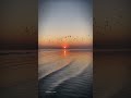 Jay Dwarkadhish Status New 2025 Full Screen Status Dwarkadhish Status Youtubeshorts Love Dwarka