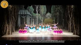 Akademi Sanat Merkezi - Klasik Bale " Prensesler "